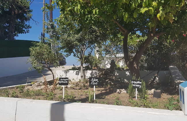 Aspro Spiti - Photo 42