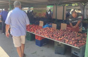 Telis House - Foto 23