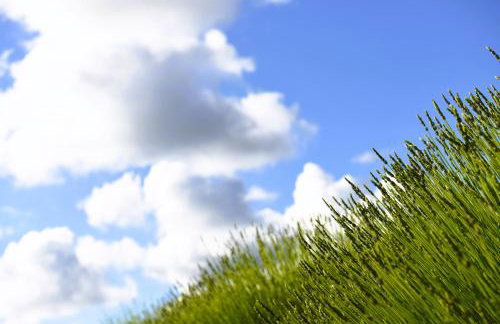 Lavanda farm apartmani - Foto 21