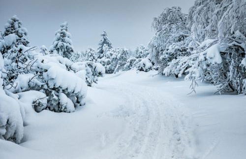 Chalet Zugspitze - Foto 38