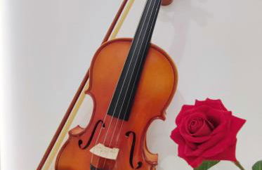 Arena Concert Concerto Love - Historic House Amorino at "Palazzo Tiolo" Palace - Photo 10