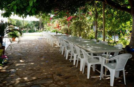 Sani Kasimis - Foto 6