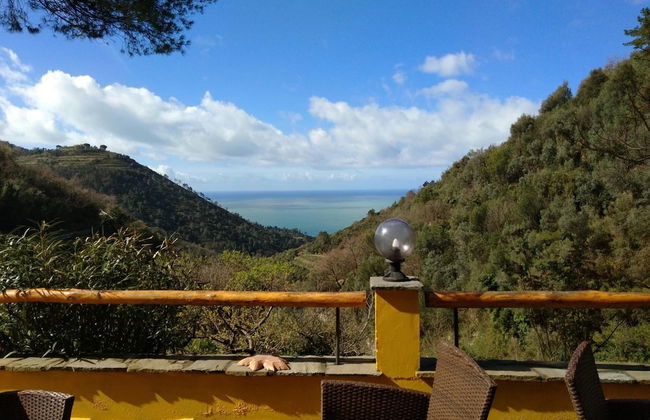 Agriturismo Costa di Campo - Foto 25