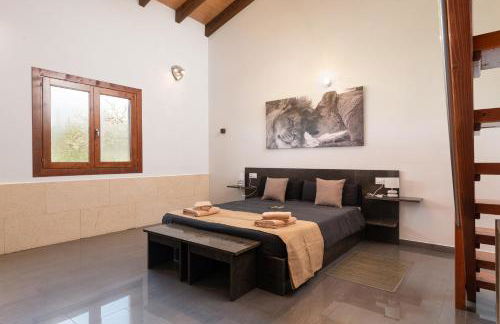 Son Mieres -De Sa Font- - Foto 37