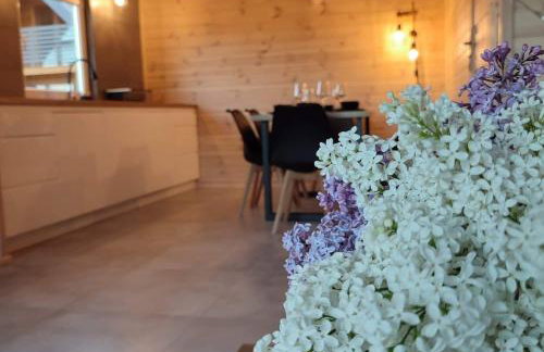 Sauna balia - Nowa Osada Domki przy plaży - całoroczne domki na Mazurach - Foto 9