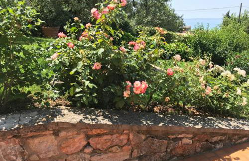 Appartamento Lago di Garda Albisano - Foto 12