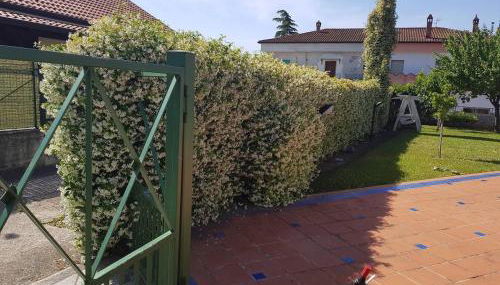 Deliziosa Villetta con Giardino - Foto 2, Garden view