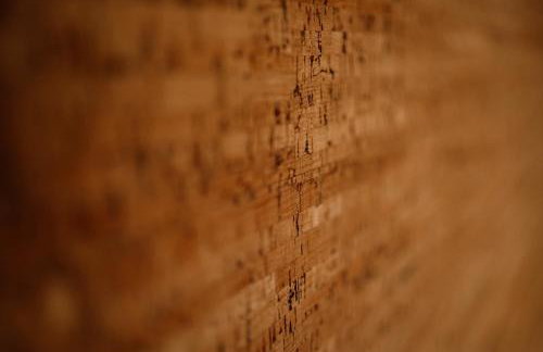 Prawdziwe Morze - Foto 11