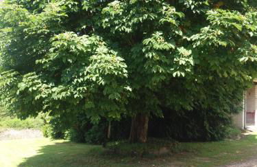 Meublé de tourisme "Les brosses tillots" - Foto 26