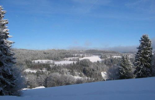 Apartment Wohnung Fübüüni by Interhome - Foto 37