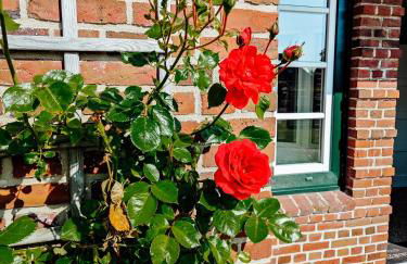 *groot* Ferienwohnungen lütt & groot - Photo 32