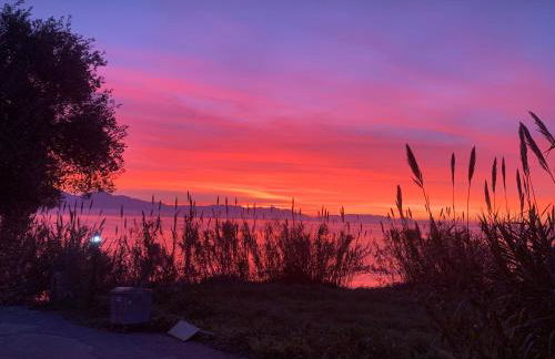 Villa Delfini - Foto 61