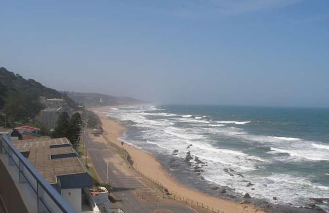 Lazy Lizard - Foto 28