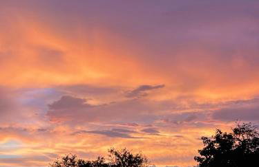 Rumiane pola - stodoła na Mazurach z widokiem na jezioro - Foto 68
