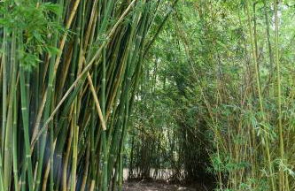 Luxurious Farm House 63 Acres - Foto 60