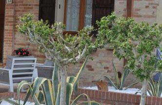 Casa Ben Essere - Foto 9