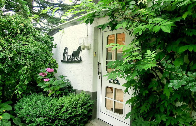 Ruhige Wohnung im Sauerland mit Terrasse - Foto 2