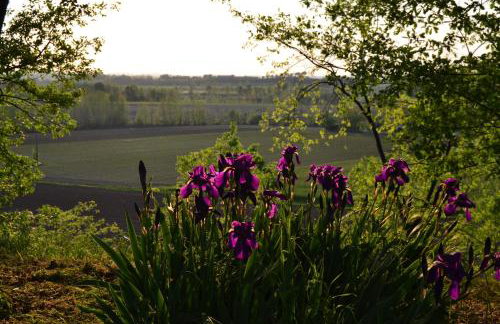 Agriturismo Olistico Atman - Foto 75