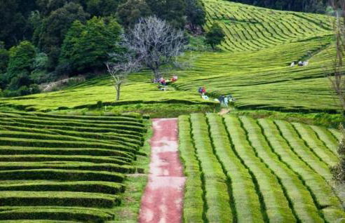 Beach & Surf - Photo 23