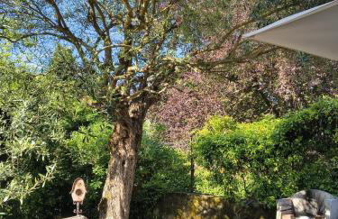 Villa La Bolvedrina - Garden and Lake View Apartments, Lake Como - Foto 39