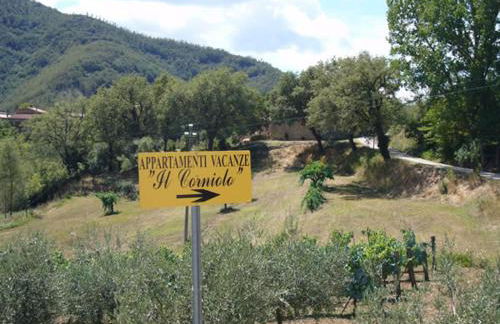 Villa Il Corniolo - Foto 27