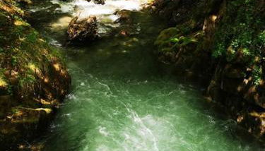 Le Nid de Laly - Foto 4