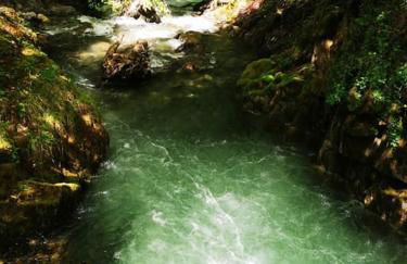 Le Nid de Laly - Foto 4