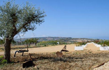 Stella del Rio - Foto 7