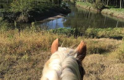 Agriturismo Relais Tenuta il Cigno - Foto 93