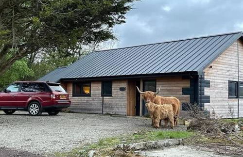 New Build Lodge With Stunning Views of Loch Awe - Foto 36