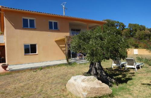 Residence Monte Cristo - Foto 62