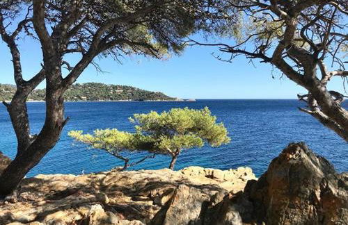 Le Hameau de la Nicolinière - Foto 25