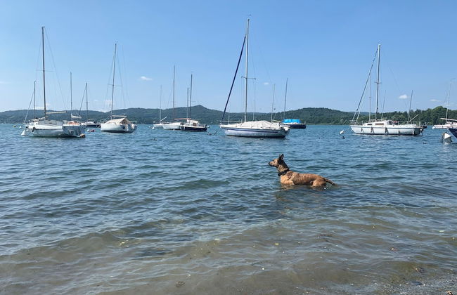 Remarkable 6 Bedrooms Villapiemonte With Land - Foto 37