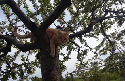 Agriturismo Valiana - Foto 35