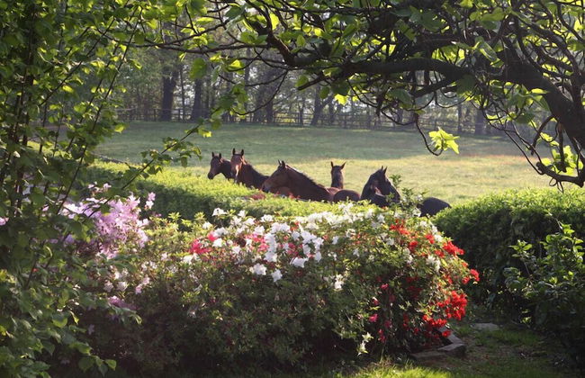 La Cucchetta - Foto 32