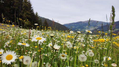Oeberst-hof - Foto 4