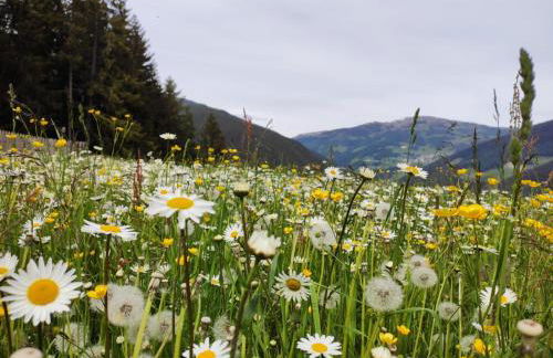 Oeberst-hof - Foto 4