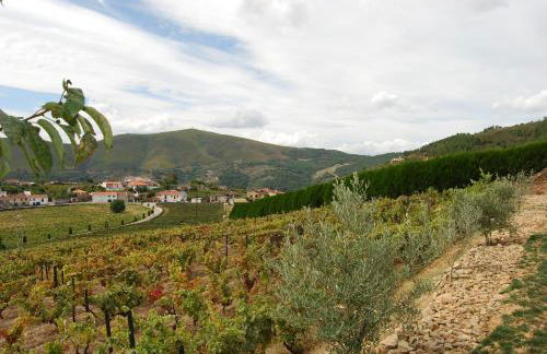 Quinta Manhas Douro - Foto 38