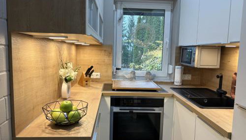 Frankenwald Ferienhaus FourStars am See in Lichtenberg, Bayern, Oberfranken, Bad Steben - Hof -Saale, Rennsteig - Foto 4