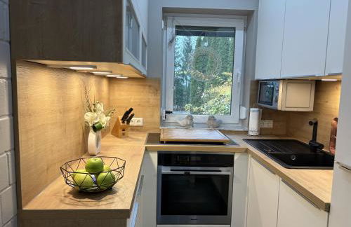 Frankenwald Ferienhaus FourStars am See in Lichtenberg, Bayern, Oberfranken, Bad Steben - Hof -Saale, Rennsteig - Foto 4