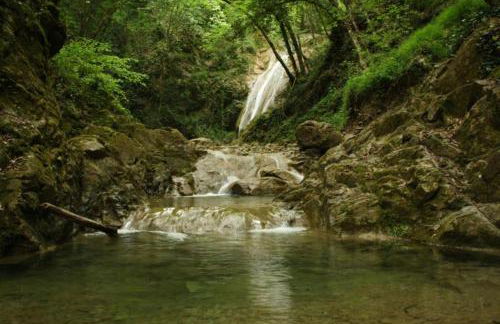 LA CASA DI CHIANNI La Pieve - Foto 48