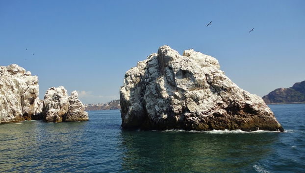 Tour por Isla de las Piedras - Foto 4