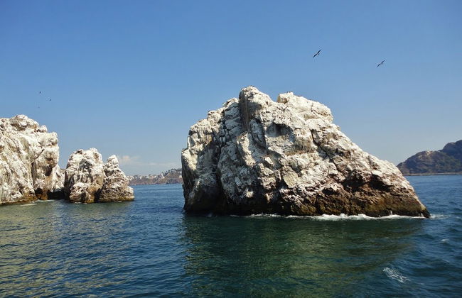 Tour por Isla de las Piedras - Foto 4