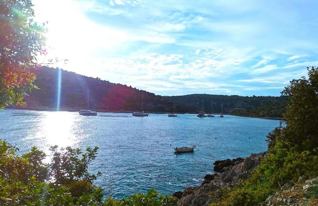 Garden - sea View - A1 - Foto 19