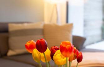 MiCasa OL - Deluxe Apartment mit Stil - Carport Stellplatz - Küche - WLAN - 3,7 KW Steckdose für E Auto - Terrasse - Photo 29