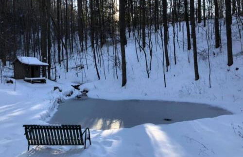 Buzzard Roost cabin at Cabin Fever in NC - Foto 36