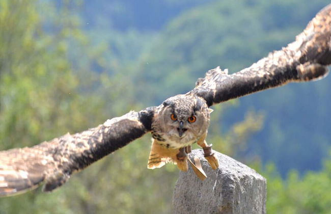 Cosy Apartment Near Center - Foto 19