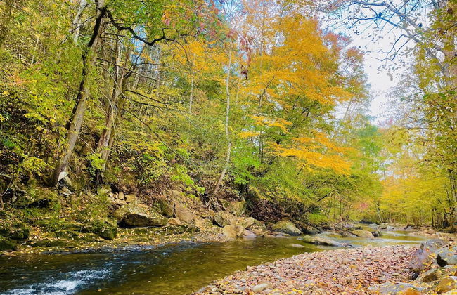 Whispering Creek - 2 Bedrooms, 1 Baths, Sleeps 6 Cabin by RedAwning - Foto 1