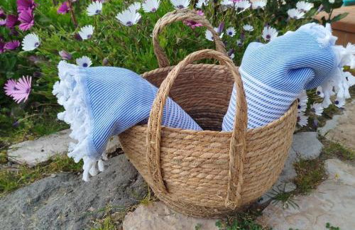 Villa climatisée, proche mer, 2 grands appartements indépendants, parking, wifi - Foto 37