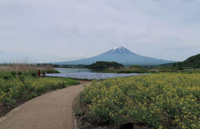 Kuranoyado Matsuya - Foto 73